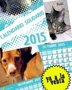 calendario 2015